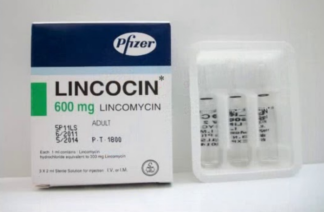 دواء لينكوسين 600مجم /2مل عضل/وريد 3 امبول
